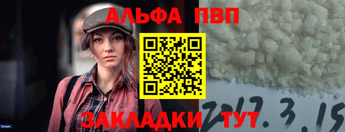 A PVP крисы CK  Вход с VPN  Альфа ПВП СК КРИС  Ливны 