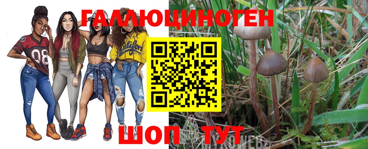 Галлюциногенные грибы мицелий Ливны